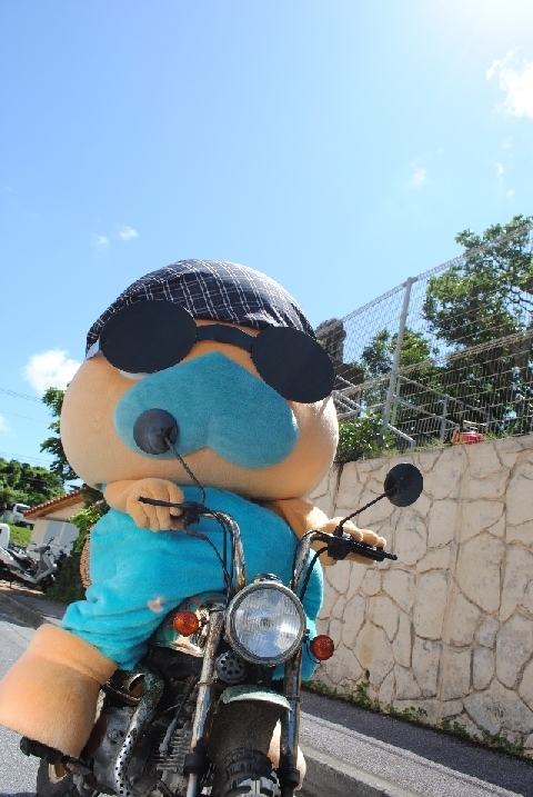 bike-kigurumi